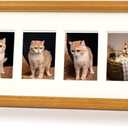 Hans 4"x16" Frames Collage Photo Frame Single Mat with Eight 1.5x2.5 Openings and Satin Solid Frame Horizontal or Vertical(8 Openings)