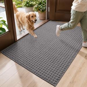 DEXI Door Mat Indoor Entrance 32x48, Entryway Doormats, Light Grey