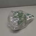 10 Pcs Clear Plant Watering Globes,Plastic Self-Watering Bulbs,Flower Automatic Watering Device,Garden Waterer for Plant Indoor Outdoor (5 Large+5 Small)