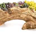 Hiceeden Artificial Driftwood Succulent Planter, Resin Tree Stump Sculpture Rustic Cactus Flower Pot for Herb, Strawberry, Small Plants, Natural Color Drainage Hole, 14.6" L x 4.3" W x 5.1" H