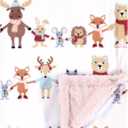 Hudson Baby Infant Girl Plush Blanket with Furry Binding and Back, Girl Winter Woodland Friends, One Size