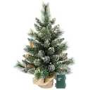 Pre-lit Artificial Mini Christmas Tree, 2ft Snow Tipped Pine Artificial Christmas Tree, Includes 30 Led Warm Lights, Seasonal Indoor Home Decor with Decorative Burlap Base