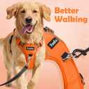 Funfox Dog Harness No Pull, Adjustable Pet Vest Harness, Super Soft Material with Vertical Handle Easy Control, Reflective Night Walking, 2 Leash Clips for Small Sized Dogs, Orange, S