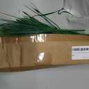 JEMONG 12 Bundles Artificial Grasses Outdoor UV Resistant Fake Grass No Fade Faux Plastic Plants Garden Window Box Decorating(Green Grass)