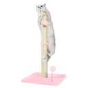 ANWA 32" Tall Cat Scratching Posts for Indoor Cats, 3-in-1 Cat Scratching Post with Plush Toys, Premium Sisal Post for Cats at All Ages with Reinforced Stable Base, Pink