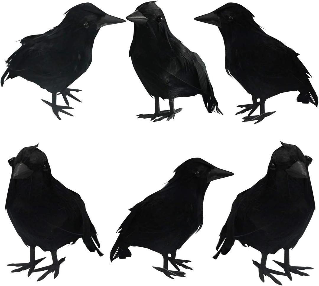 FUNPENY Halloween Black Feathered Crows, Lifelik Halloween Decoration Birds with Real Feather (6 Pack)