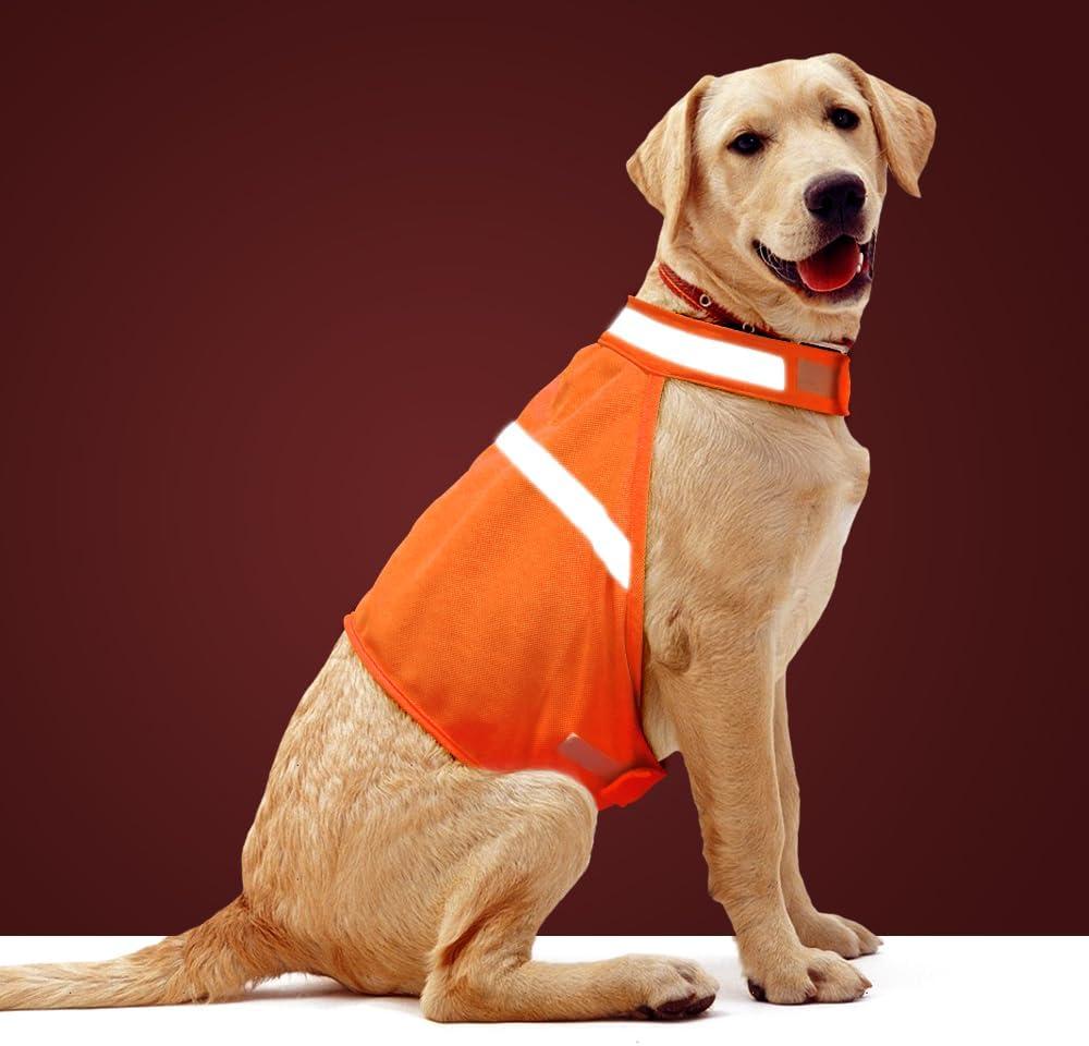 Dog Jacket High Visibility Safety Reflective Dog Vest for Small Medium Large Dogs (Medium, Orange)