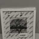 Egofine 10x10 Picture Frame White,Made of Solid Wood with HD Plexiglass for Pictures 6x6 with Mat or 10x10 without Mat, Tabletop and Wall Mounting Display