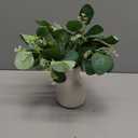 Dahey Artificial Eucalyptus Stems in Small Ceramic Vase Centerpiece Table Decorations Modern Farmhouse Decor Fake Eucalyptus Plants with Vase for Bathroom Kitchen Shelf Living Room Home Decor, White