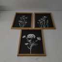 Flower Plant Wall Art Decor 16"x11" Set of 3 Black And White Botanical Painting Wood Framed For Minimalist Bedroom Office Rustic Living Room Abstract Wildflower Sign Hanging (Wood Black)