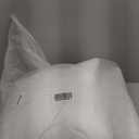 MIULEE Throw Pillows Inserts, Pack of 2 18x18 Inch 100% Virgin Fiber Filling Bed Couch Pillows