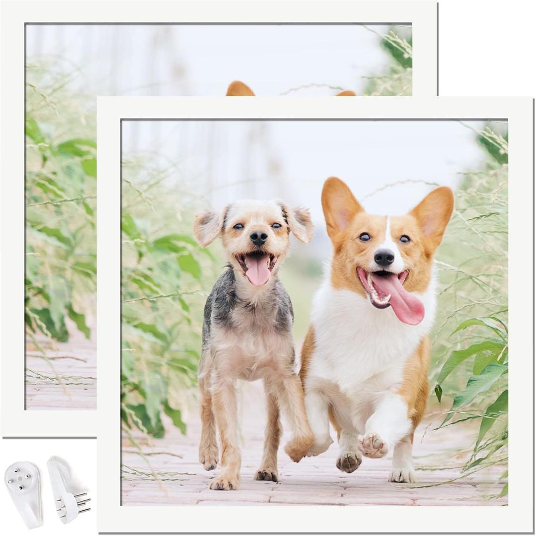 12x12 Picture Frame Set of 2, White Square Photo Frames High Transparent Wall Gallery Desktop Horizontal Vertical for Canvas Collage Photo Poster Certificate 12 x 12 inches