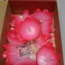 alikiki Diwali Gifts Electronic LED Diyas - Lotus Shaped Diya String Lights Diwali Pooja Item Indian Home Office Mandir Puja Decor, 10 Lotus Diyas per String, Battery Operated, Waterproof