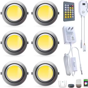 Smart Puck Lights LED Under Cabinet Lighting 2700k-6500k Dimmable Works with Alexa,Google Home,APP & Remote,12V,2W/pc,Recessed Kitchen Lamp Plug In for Counter,Display Shelf,2.5Inch Cutout,6pcs,Sliver