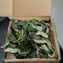 Phimos Artificial Olive Tree Tall Fake Potted Olive Silk Tree with Planter Large Faux Olive Branches and Fruits Artificial Tree for Modern Home Office Living Room Floor Decor Indoor (7FT) (Green)