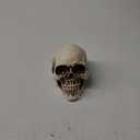 READAEER Resin Skull, Human Head Model for Home Decoration, Halloween Statue, Skull Model for Bookshelf and Desktop (White)