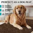 Premium Microfiber Indoor Door Mat 24"x36" Washable Entry Mat, Non-Slip, Waterproof Backing, Super Absorbent, Low Profile Entryway Doormat for Indoor Entrance