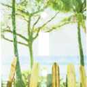 3dRose LLC lsp_100944_1 Surf Boards N Palm Trees Single Toggle Switch