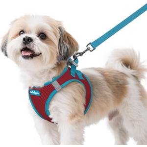 Rabbitgoo Dog Harness Small Sized and Leash Set, Step-in Breathable Pet Harness, Soft Walking Reflective Puppy Vest for Small Dogs, Red & Teal, S