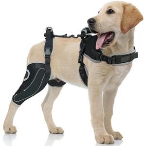 LISPOO Dog Knee Brace for Torn ACL/CCL Hind Leg,Adjustable Support with Sufficient Wrapping and Support & Luxating Patella,Non-Slip Joint Brace,Pain Relief&Better Recovery-Right Leg-Upgraded/L