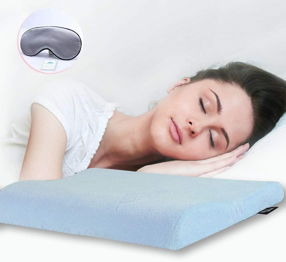 WOOLALA Ultra Thin Contour Memory Foam Pillow Bed Pillow for Sleeping and Neck Support with Removable Soft Pillow Cover (Blue)