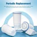 Upgraded Water Filter Replacement for Zero Pitcher and Dispenser ZR-001 ZR-004 ZP-006 ZR-017, Multi-Stage Filter System, Effectively Reducing Lead, Chromium, PFOA, and PFOS, Pack of 4, By DESENRUIS