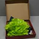 3ft Christmas Tree,Pop up Christmas Tree,Green Xmas Tree with Tree Skirt, Easy Setup Whimsical Artificial Christmas Tree for Christmas Decorations Outdoor & Indoor Use