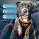 Best Pet Supplies - All Weather Mesh/Plush, Reflective, No Pull Harness for Small, Medium Dogs, Cats - Secure with Hook & Loop Fastener, Buckle, Double D-Rings - Black/Orange Trim, M