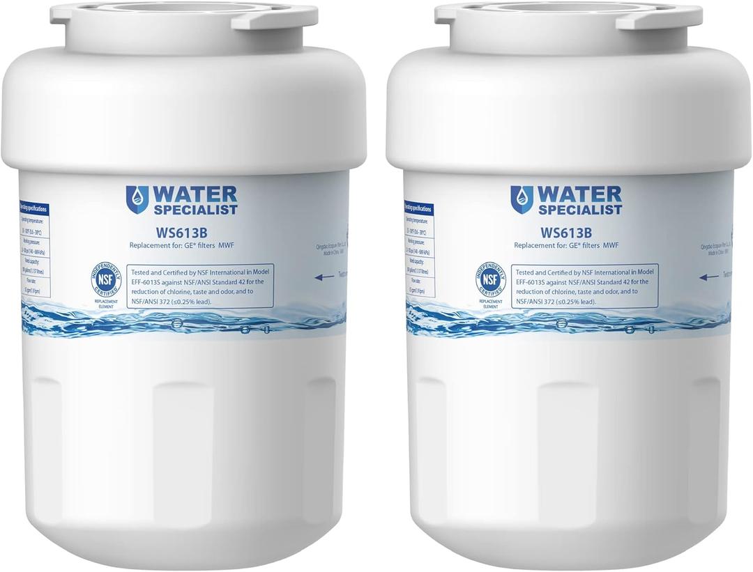 Waterspecialist WS613B Replacement for GE MWF, SmartWater MWFP, MWFA, GWF, HDX FMG-1, WFC1201, GSE25GSHECSS, PC75009, RWF1060 Refrigerator Water Filter, 2 Filters