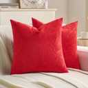 FUTEI Pack of 2 Velvet Throw Pillow Covers 18x18 Inch, Red