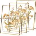 Vicenpal 3 Pack Glass Pressed Flower Frame Handmade, 6 x 8 Floating Picture Frames for Pressed Flowers, Brass Double Glass for Tabletop Display, Home Office Plant Specimen, Photos(Gold)