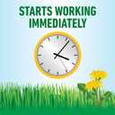 Roundup for Lawns Ready-to-Use with Extend Wand, Tough Weed Killer for Use on Northern Grasses, 1.33 gal.