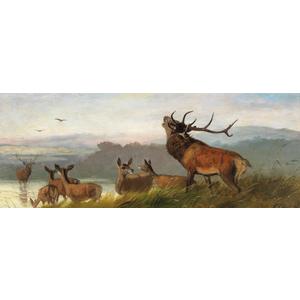 SERIMINO Animal Deer Vintage Wall Art for Living Room, Meadow Landscape Canvas Prints, Retro Large Wall Decor, Nature Scenery Canvas Prints, Farmhouse Home Decor for Bedroom, 20x40 Inch
