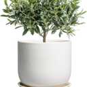 Ceramic Plant Pot - Modern 8 Inch Round Planter for Indoor Outdoor Plants with Drainage Hole and Saucer, Home House Room Office Decor, White