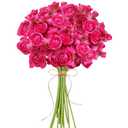 ASTRYAS Ranunculus Artificial Flower, 18Pcs Hot Pink Faux Silk Mini Ranunculus Flowers for DIY Bouquet, Bulk Fake Wedding Filler Flowers for Centerpiece Table Wedding Bridal Party Home Decor Cake