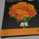 Unwynd Poke Art Marigold Flower Bouquet | Mess-Free Arts and Crafts for Adults | Teen Craft Kits | Mother's Day Flowers Gift | Gifts for Mother, Women and Men