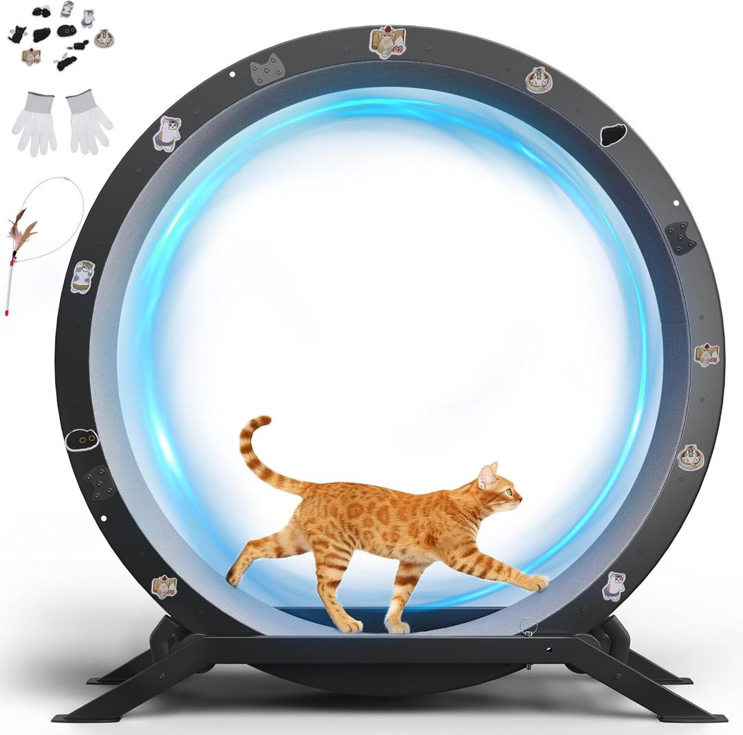 GTRACING Cat Wheels, 40" Diameter, Large Cat Exercise Wheel for Indoor Cats cat Treadmill Metal with Detachable Carpet & Teaser/Stickers, Ultra-Quiet Scroll Wheel with Latch, Safe and Stable, Grey