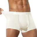 Arjen Kroos Mens Underwear Modal Boxer Briefs Quick Dry Trunks Breathable U-Pouch Underpants for Pack (Beige) M