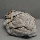 PetAmi Waterproof Dog Blanket, Leakproof Puppy Blanket for Medium Large Dog, Furniture Sofa Couch Cover Protector, Fleece Pet Throw Indoor Cat Kitten, Reversible Washable Soft Plush, 40x60 Taupe Beige