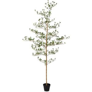 Artificial Black Olive Tree 6FT Indoor Outdoor Decor Faux Plants - Real Wood Trunk Fake Tree with Green UV Resistant Leaves - Tall Floor Plant for Modern Home Office Living Room Decoration
