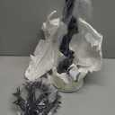 Animal Bones Black Halloween Tree with Lights - Horrornaments Tree Pack with Purple LED Lights - 13 Animal Skeletons Halloween Ornaments - Birch Christmas Tree Horror Decor Halloween Skeleton