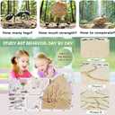 Ant Farm Castle - Large Viewing Area - Care for Live Ants - Ant Colony Observation Kits with Sand Habitat - Educational Science Gifts for Boys, Girls - Ant Farms for Kids, Adults, Student (Yellow)