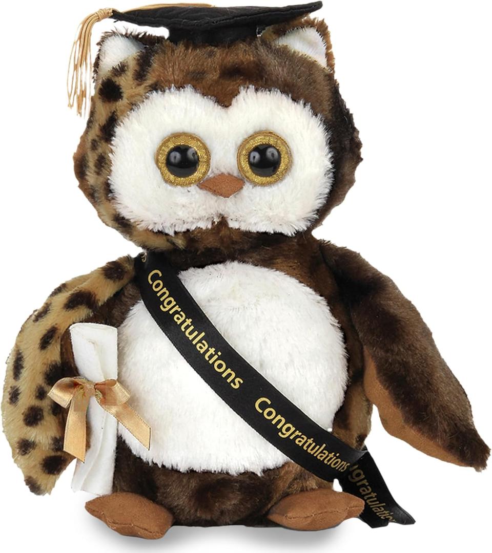 Bearington Wisdom Class of 2025 Graduation Plush Owl Stuffed Animal, Black Cap with Diploma & Sash, 8.5 Inch