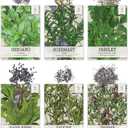 Seed Needs Herb Seeds Variety Pack Culinary Herb Collection (12 Individual Packets for Planting Indoors or Outdoors) Grow Your Own Herb Garden - Heirloom, Non-GMO