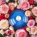 6 Quart Dutch Oven Enameled Cast Iron with Lid - Big Dual Handles - Oven Safe up to 500F - Classic Round Pot for Versatile Cooking (Blue, 6 QT)