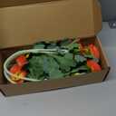 ATFL Orange red Ranunculus Artificial Flowers,6 Pcs Artificial Faux Silk Ranunculus Flowers with Real Touch Stems,Fake Peony Flowers for Floral Arrangements DIY Wedding Bouquet Party Table Home Decor