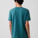Gap Mens Everyday Soft Crewneck T-Shirt Tee (Teal, M)