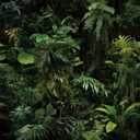 FunStick Dark Green Tropical Wallpaper Peel and Stick Jungle Leaf Wallpaper for Bedroom Bathroom Kids Room Removable Black Green Tropical Contact Paper for Wall Murals Cabinets Waterproof 17.5"x118"