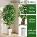 6FT Artificial Ficus Tree, Large Fake Ficus Tree White Planter