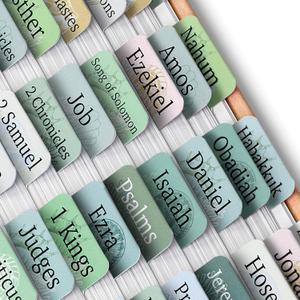 Mr. Pen- Bible Tabs, 75 Tabs, Coastal Meadow, Laminated Bible Tabs for Women and Men, Bible Tabs for Study Bible, Large Print Bible Index Tabs, Bible Book Tabs, Bible Labels Tabs, Mr. Pen Bible Tabs